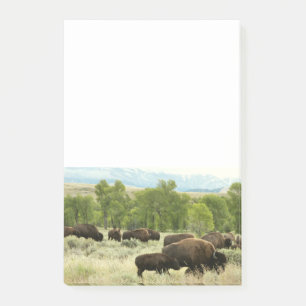Notas Post-it® Fotografía de animales de la naturaleza de Wyoming