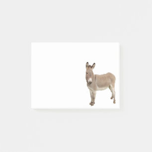 Notas Post-it® Fotografía de Burro de burro burro burro