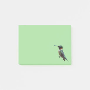 Notas Post-it® Fotografía de pájaro húmedo con trompetas de rubí