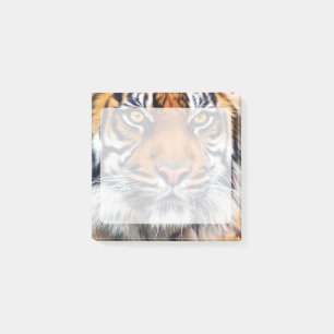 Notas Post-it® Fotografía del tigre siberiano macho