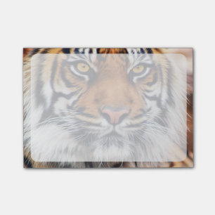 Notas Post-it® Fotografía masculina de la pintura del tigre