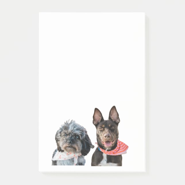 NOTAS POST-IT® FOTOGRAFÍA PERSONALIZADA POST-IT (Anverso)