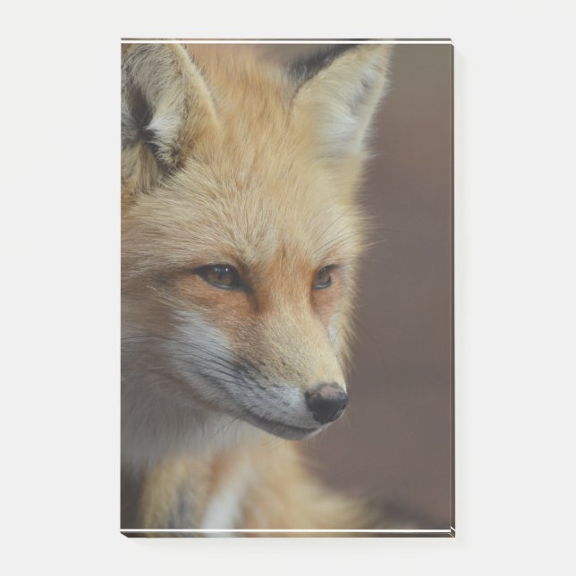Notas Post-it® Fox rojo lindo (Anverso)