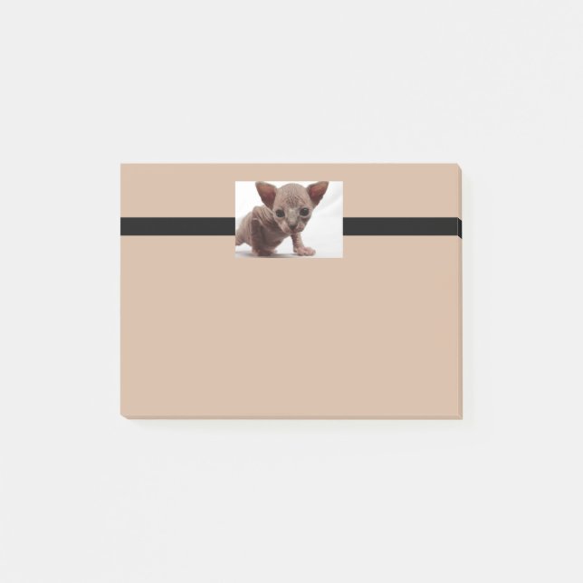 Notas Post-it® Freaky Cute Furless Sphynx Kitten (Anverso)