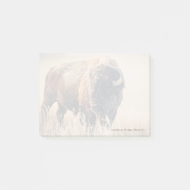 Notas Post-it® Frosty Morning - 3" x 4" Post-it Notes (Anverso)