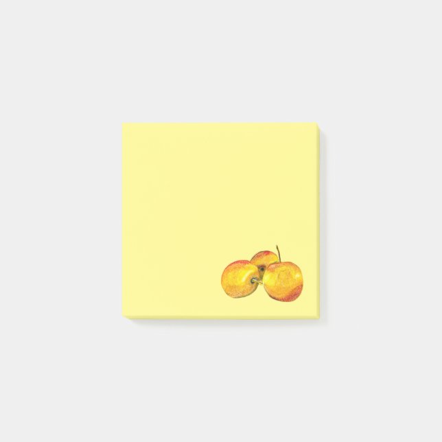 Notas Post-it® Fruto de la fruta de la acuarela (Anverso)