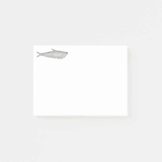 Notas Post-it® Gangetic Hairfin Anchovy  (Anverso)