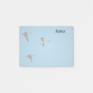 Notas Post-it® Gansos canadienses en vuelo