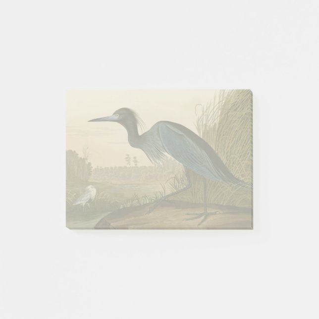 Notas Post-it® Garza Grulla Azul Impresión de Audubon Arte Coster (Anverso)