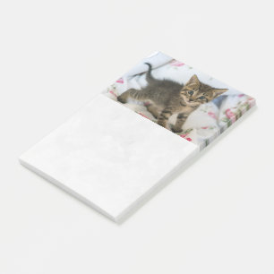 Notas Post-it® Gatito atigrado lindo que parece sorprendido