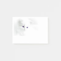 Gatito blanco suave con ojos morados