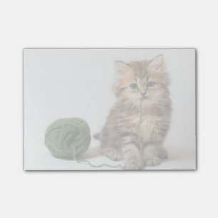 Notas Post-it® Gatito con hilado verde