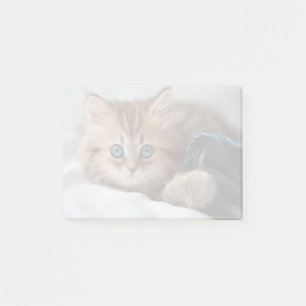 Notas Post-it® Gatito con los ojos azules