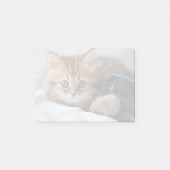 Notas Post-it® Gatito con los ojos azules (Anverso)