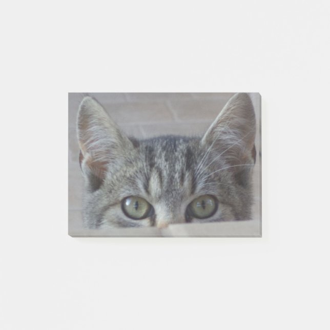 Notas Post-it® Gatito de cucú (Anverso)