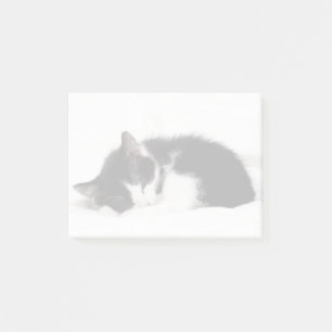 Notas Post-it® Gatito dormido