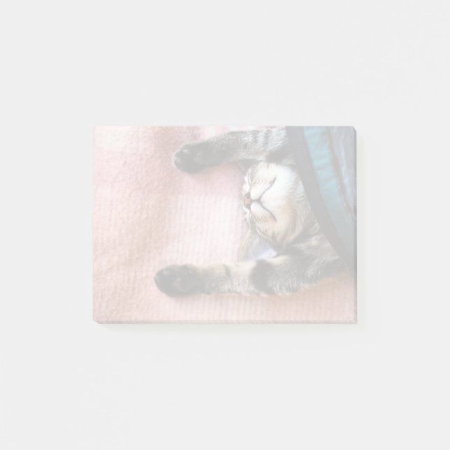 Notas Post-it® Gatito el dormitar (Anverso)