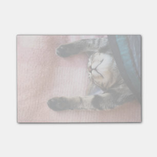 Notas Post-it® Gatito el dormitar