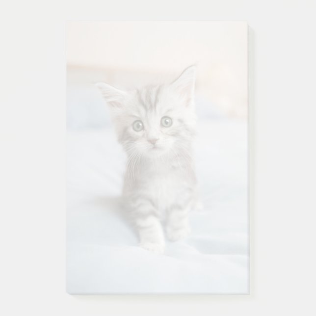 Notas Post-it® Gatito Maine Coon (Anverso)