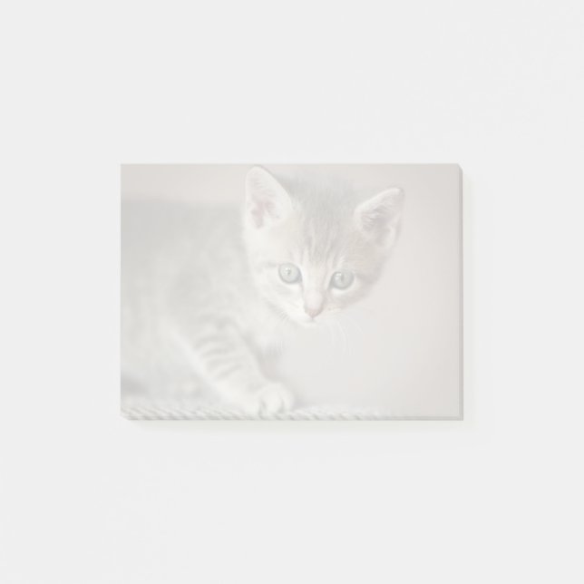 Notas Post-it® Gatito minúsculo (Anverso)