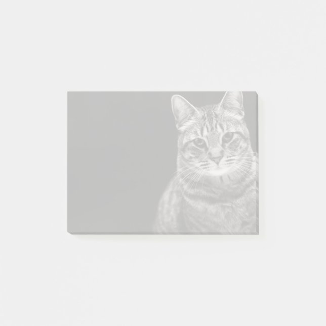 Notas Post-it® Gatito negro del Tabby (Anverso)