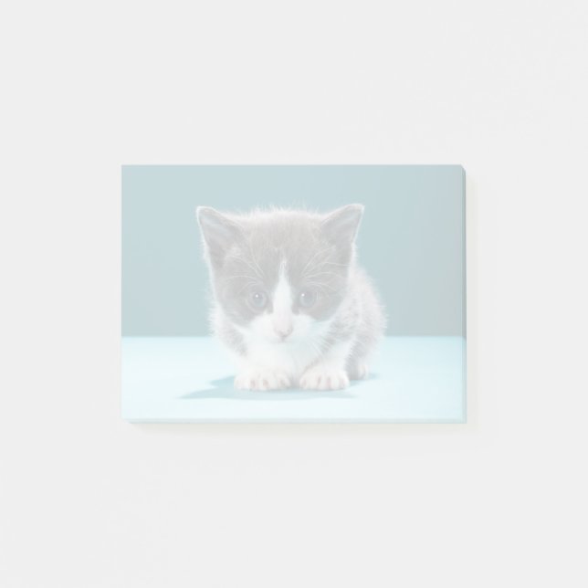 Notas Post-it® Gatito pequeño (Anverso)