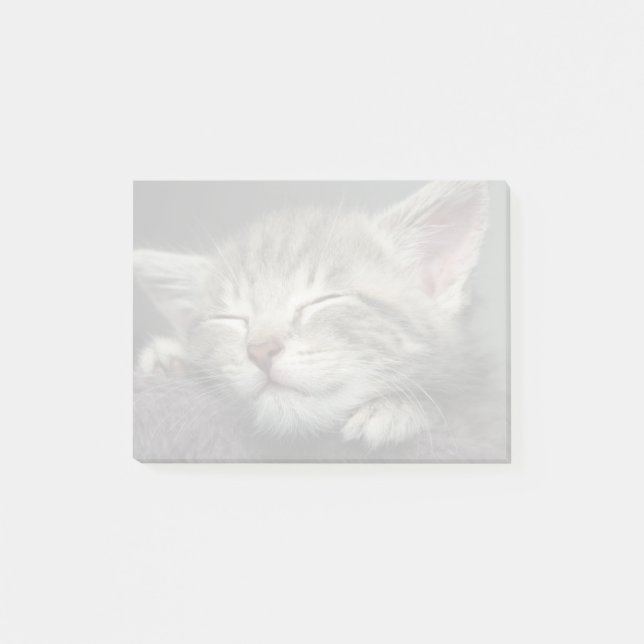 Notas Post-it® Gatito soñoliento (Anverso)