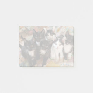 Notas Post-it® Gatitos del smoking