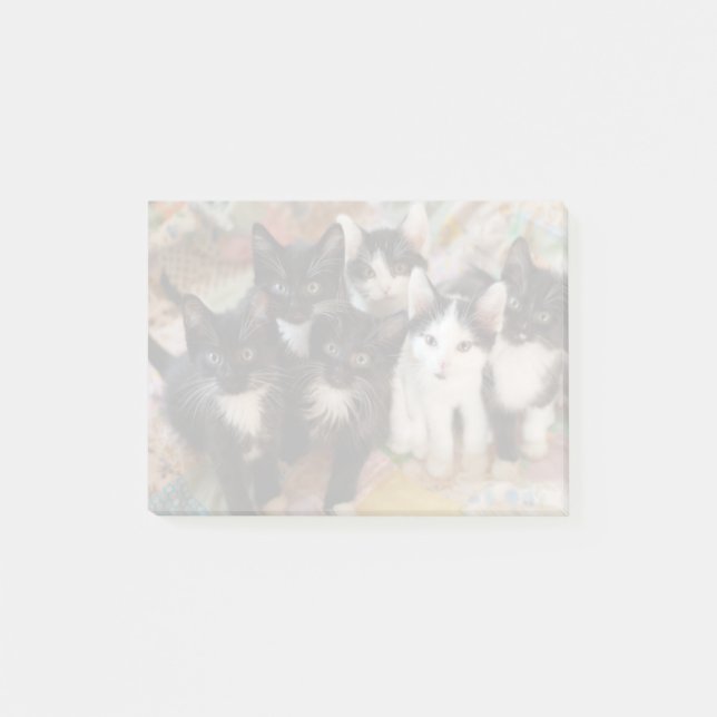 Notas Post-it® Gatitos del smoking (Anverso)