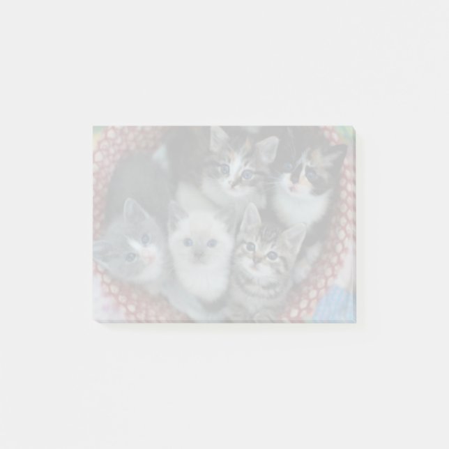 Notas Post-it® Gatitos En Una Cesta (Anverso)