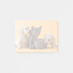 Notas Post-it® Gatitos y perritos azules rusos del Dachshund