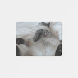 Notas Post-it® Gato
