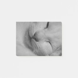 Notas Post-it® Gato