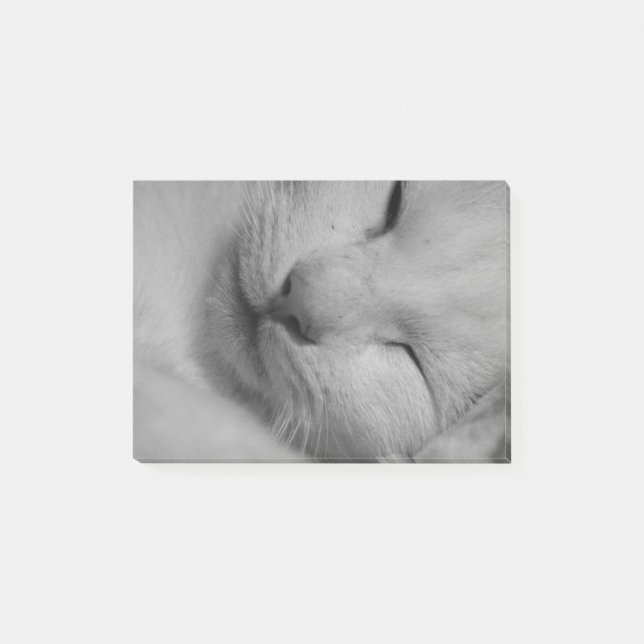 Notas Post-it® Gato (Anverso)