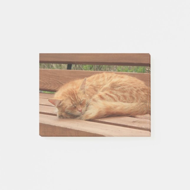 Notas Post-it® Gato (Anverso)