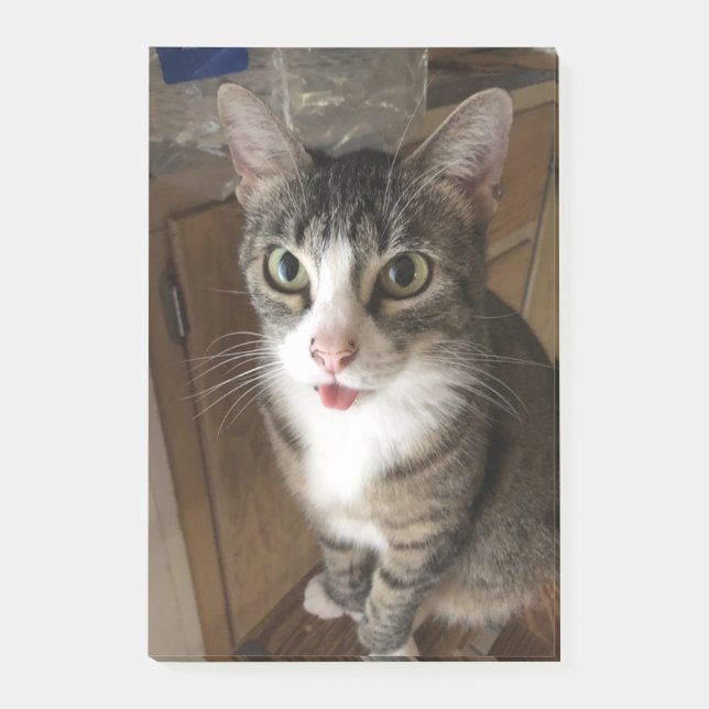 Notas Post-it® Gato (Anverso)