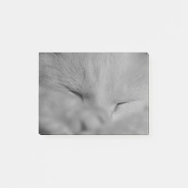 Notas Post-it® Gato
