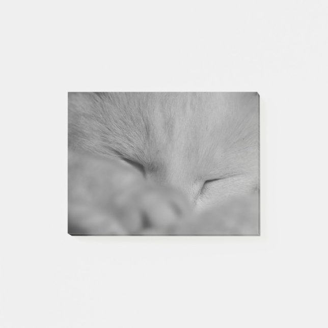 Notas Post-it® Gato (Anverso)