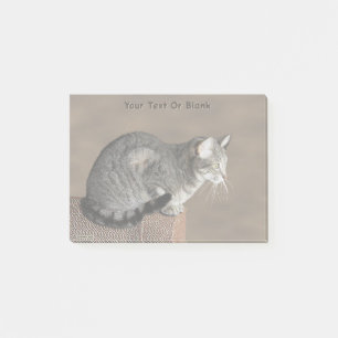 Notas Post-it® Gato atigrado gris ahumado