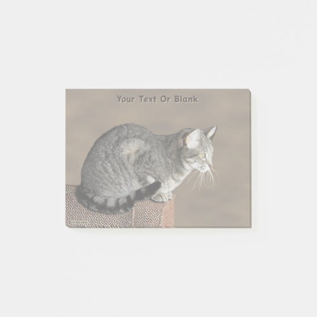 Notas Post-it® Gato atigrado gris ahumado (Anverso)