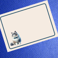 Gato Cute Ragdoll