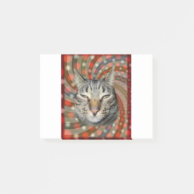 Notas Post-it® Gato de Guay - ¡TIENES EL TÍTULO DE TU regalo! (Anverso)