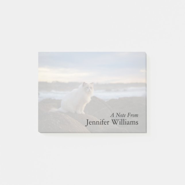 Notas Post-it® Gato de Ragdoll en la playa (Anverso)