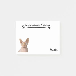 Notas Post-it® Gato de Sphynx