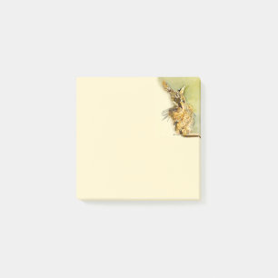 Notas Post-it® Gato de Tabby con pinceladas rosadas de la nariz