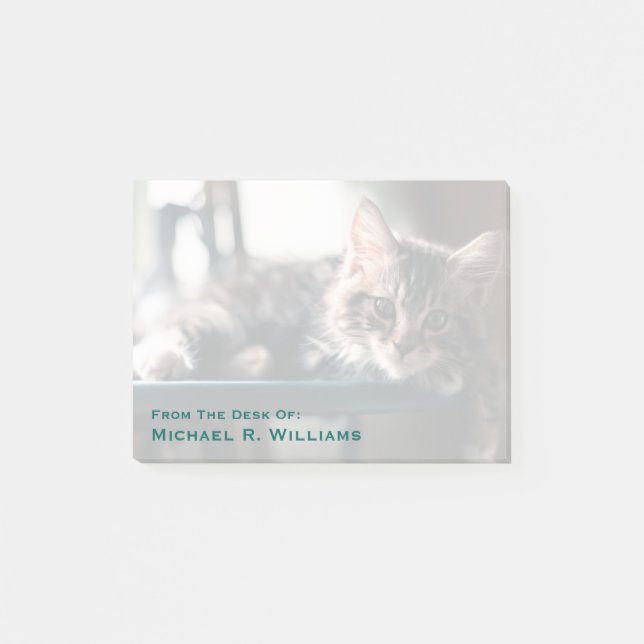 Notas Post-it® Gato de Tabby masculino joven 2 (Anverso)