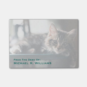 Notas Post-it® Gato de Tabby masculino joven 2