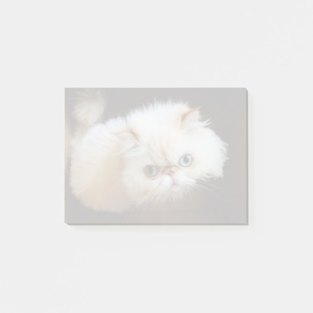 Notas Post-it® Gato en una caja (Anverso)
