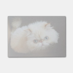 Notas Post-it® Gato en una caja
