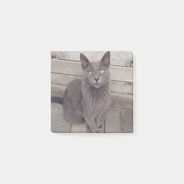 Notas Post-it® Gato gris (Anverso)